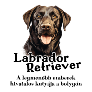 Labrador retriever. A legmenőbb emberek hivatalos kutyája ezen a bolygón. 