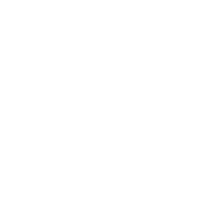 Labrador fejlődése