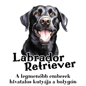 Labrador retriever. A legmenőbb emberek hivatalos kutyája ezen a bolygón.