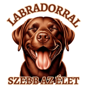 Labradorral szebb az élet